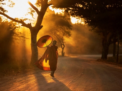 Đạo Phật và nghệ thuật hóa giải sân hận