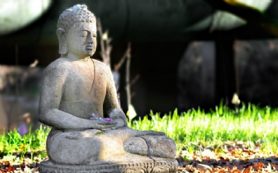 Pháp lạc trong tu học