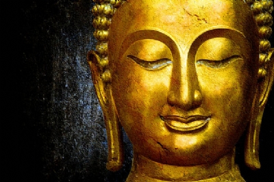 Đóa Hoa Hàm Tiếu